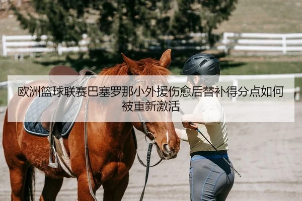欧洲篮球联赛巴塞罗那小外援伤愈后替补得分点如何被重新激活